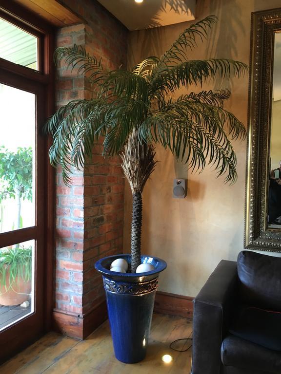 Gordons Guesthouse Cape Town Ngoại thất bức ảnh