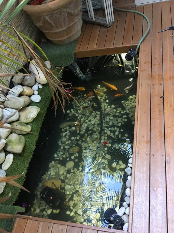 Gordons Guesthouse Cape Town Ngoại thất bức ảnh